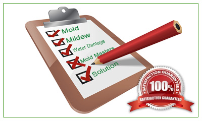 Mold Inspections